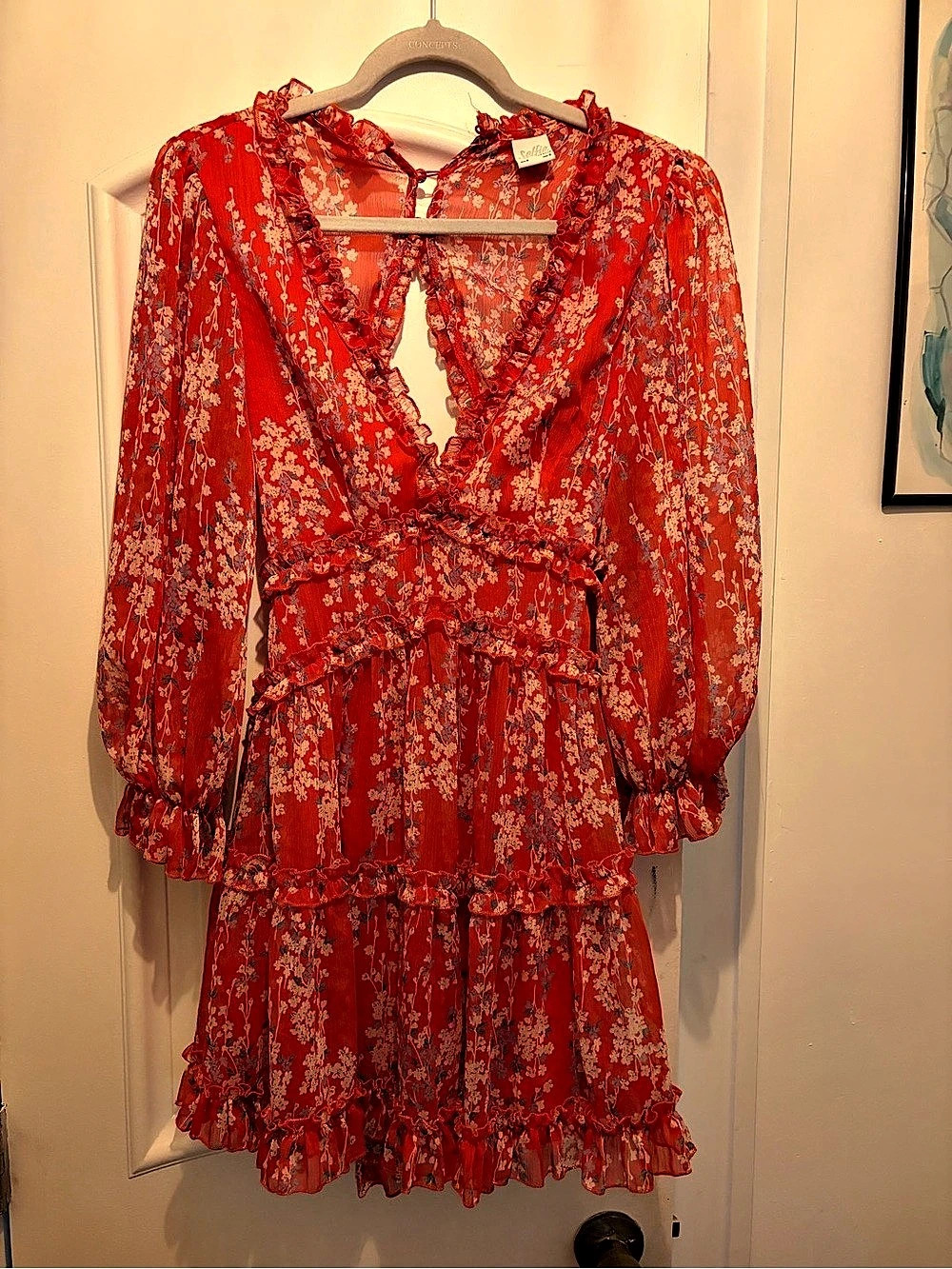 Selfie Leslie Red Floral Mini Dress, Size Small